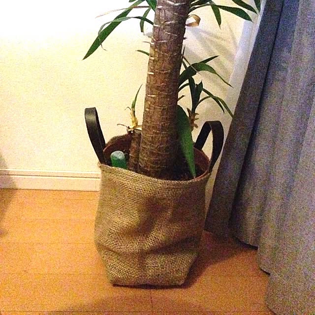 mojyaさんの実例写真