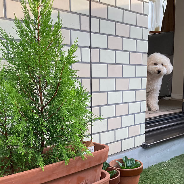 madamkaoriさんの実例写真