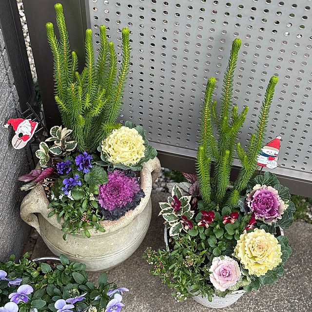 maayaさんの部屋