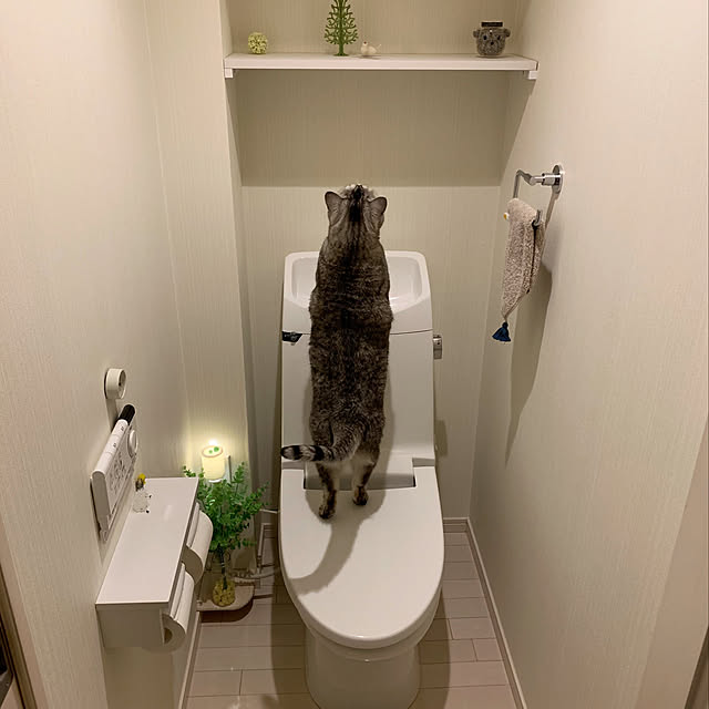 bikkeさんの実例写真