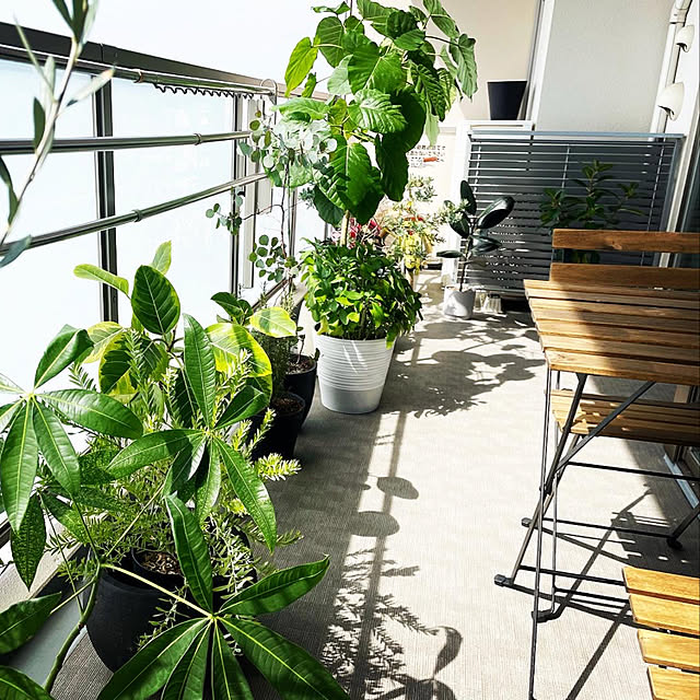 saryさんの部屋