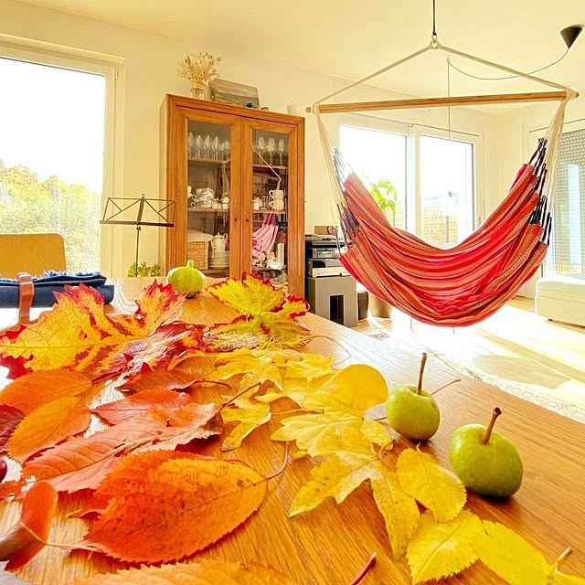 LA_SIESTA_hammockJPさんの実例写真
