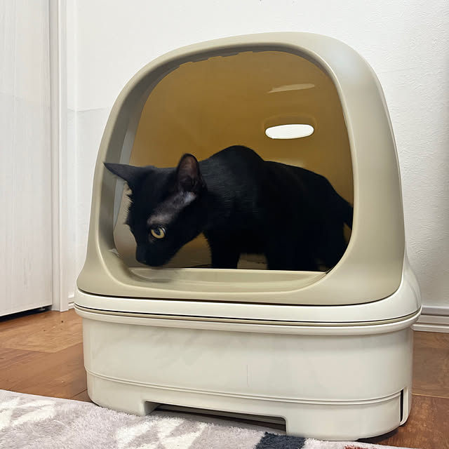 jagaricoさんの部屋