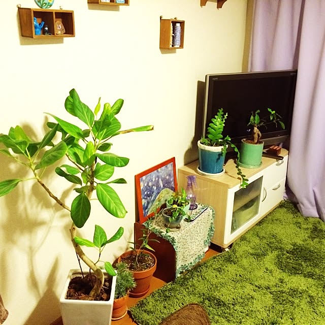 tamomeiさんの実例写真