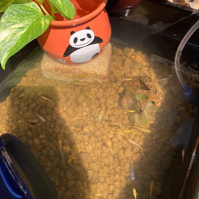 FUJICOさんの部屋