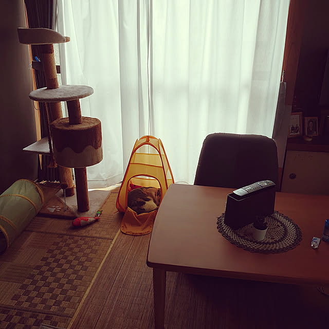 fukuさんの実例写真