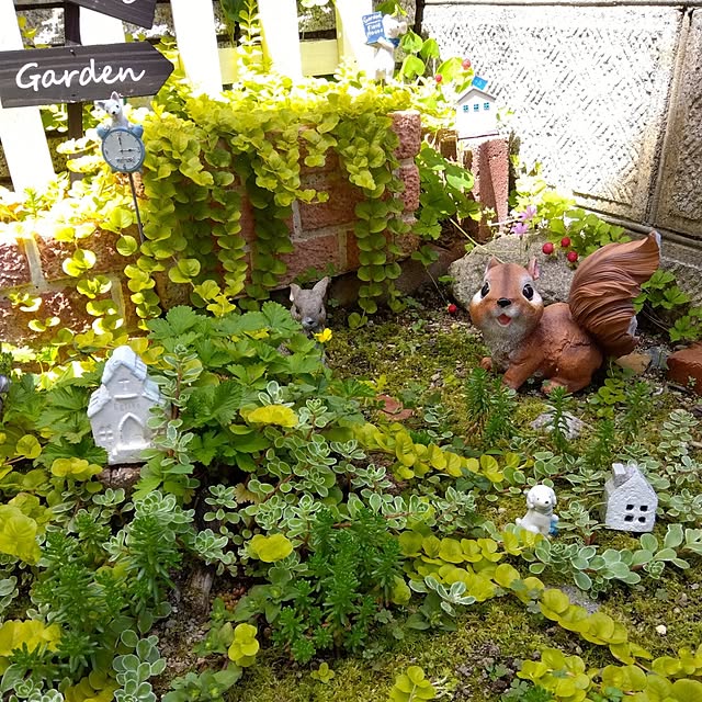 25Moondropsさんの実例写真