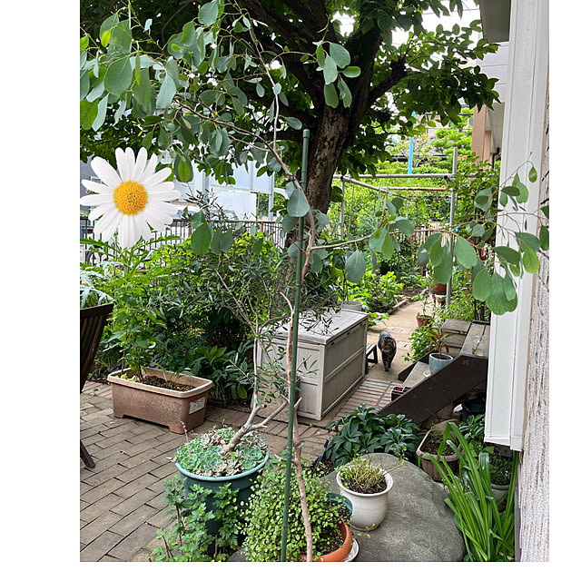 botanさんの部屋