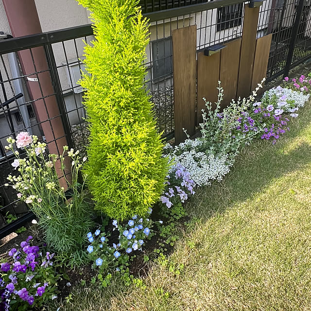 halu8686さんの部屋