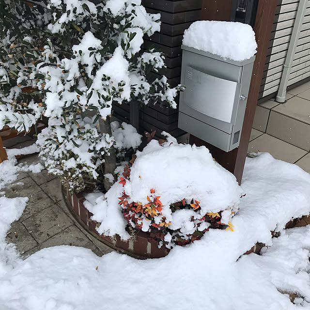 kiriwakaさんの実例写真