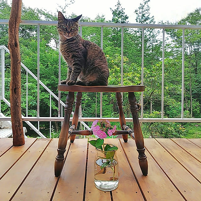 weさんの実例写真
