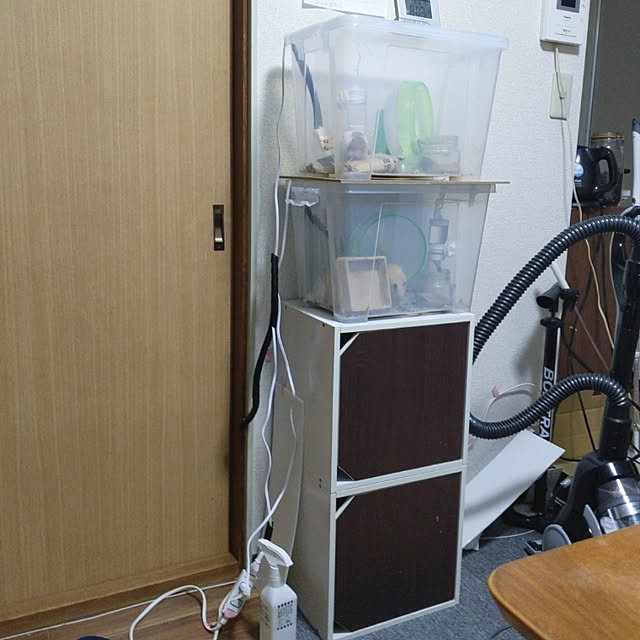 payさんの実例写真