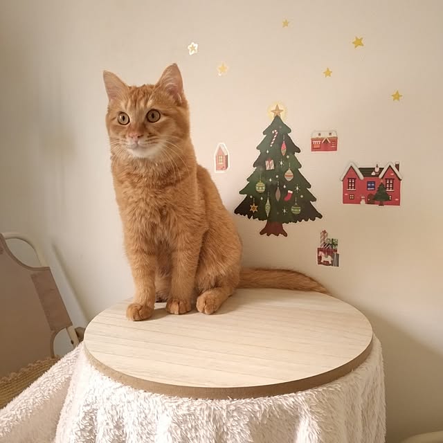 mayutan.さんの実例写真