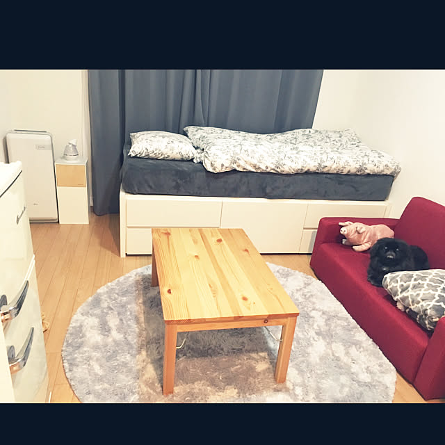 Mikaさんの実例写真