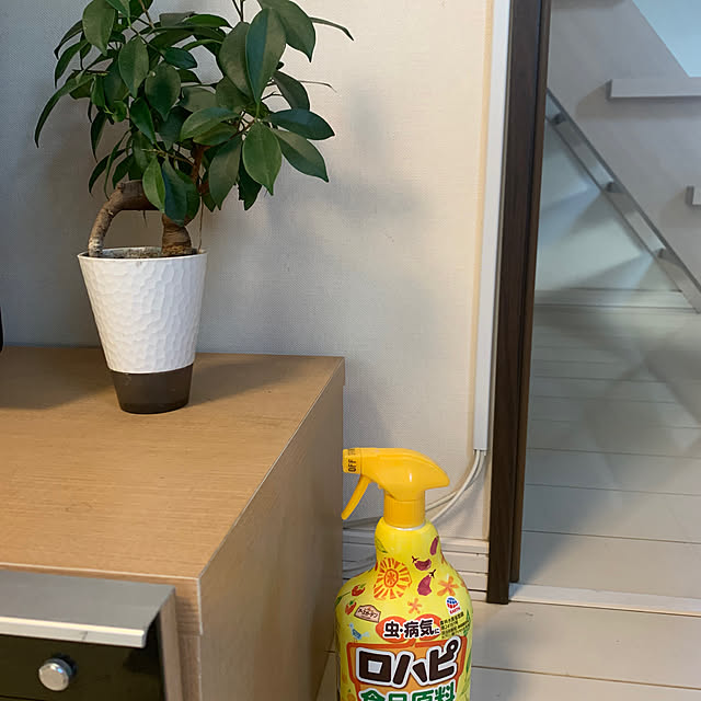 Momooさんの実例写真