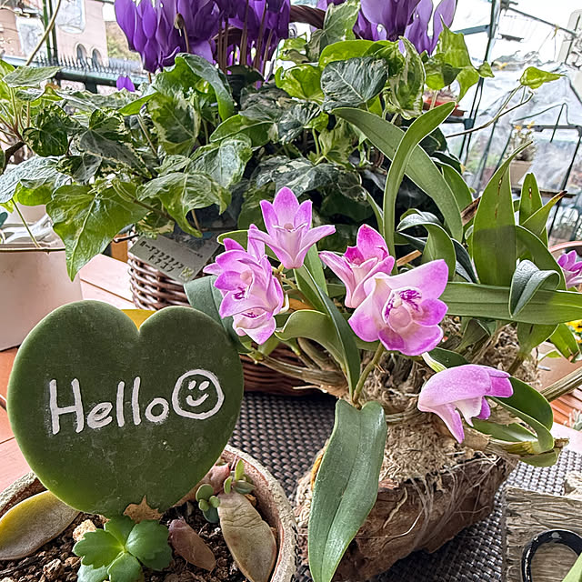 Aqettyさんの部屋