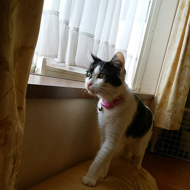 yum0408さんの実例写真
