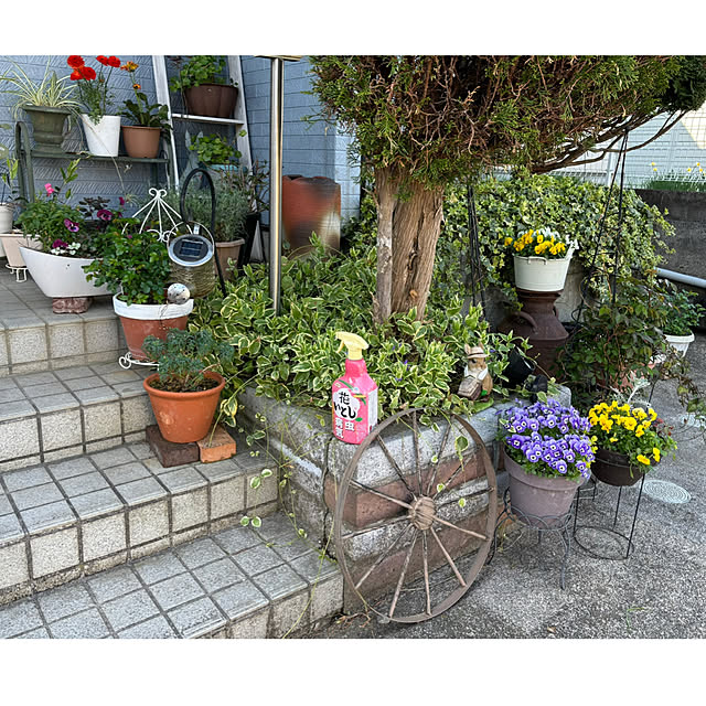 CoCo0617さんの部屋