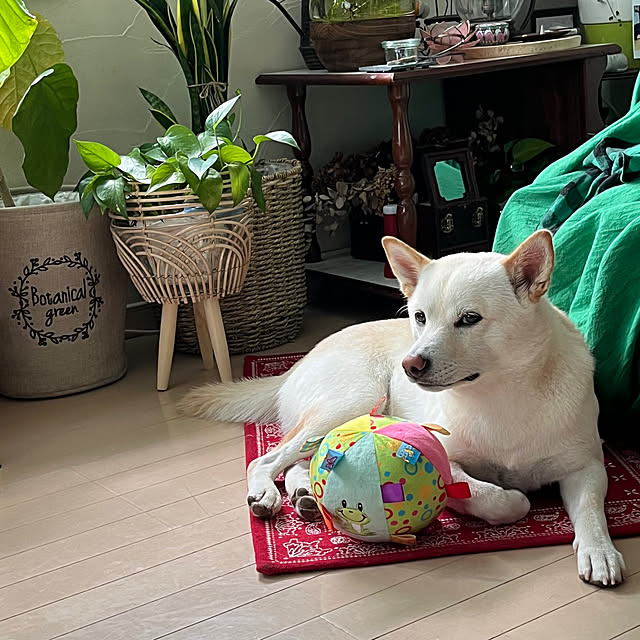 Toyomiさんの部屋