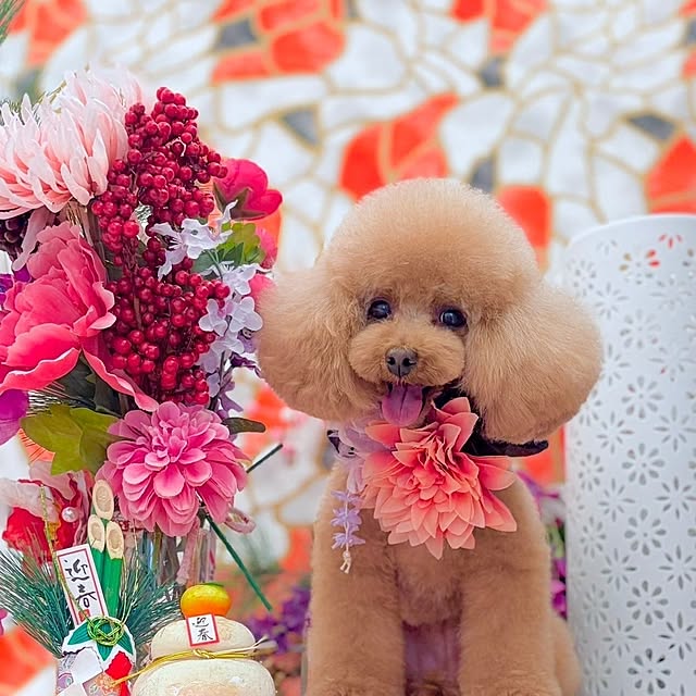 erisavesu4さんの実例写真