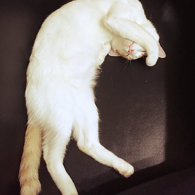 emiさんの実例写真