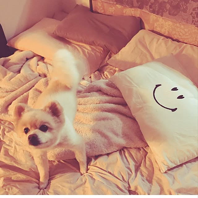 sacchiさんの実例写真