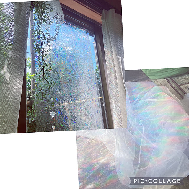 shoさんの実例写真