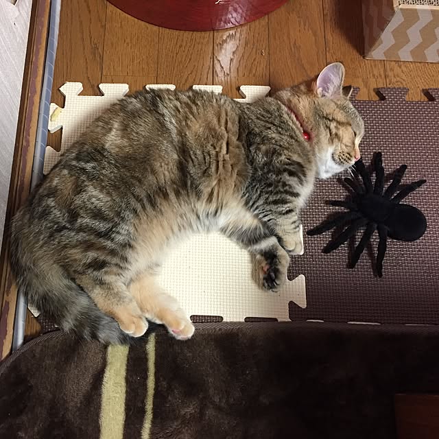 keibooさんの実例写真