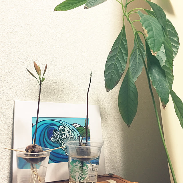 sueさんの実例写真