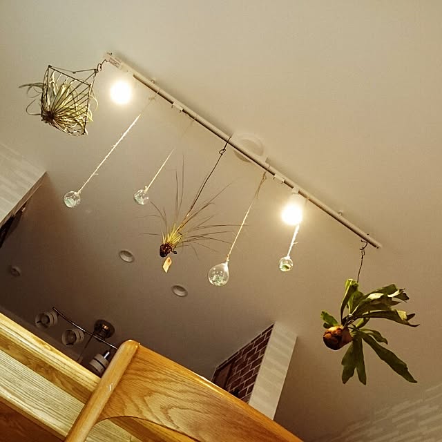 Haruminさんの実例写真