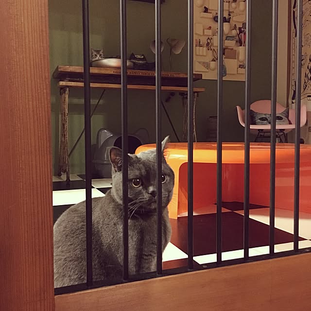 Shojiさんの実例写真