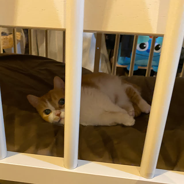 KotarouKunさんの実例写真