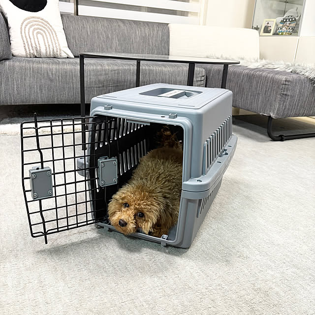 poohさんの部屋