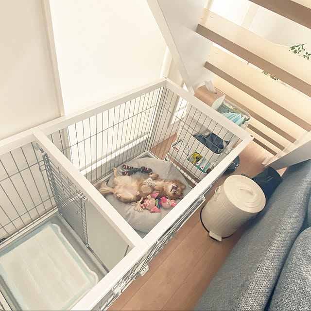 comoさんの実例写真