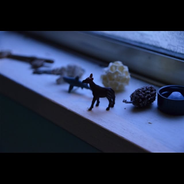 sugisakiさんの実例写真