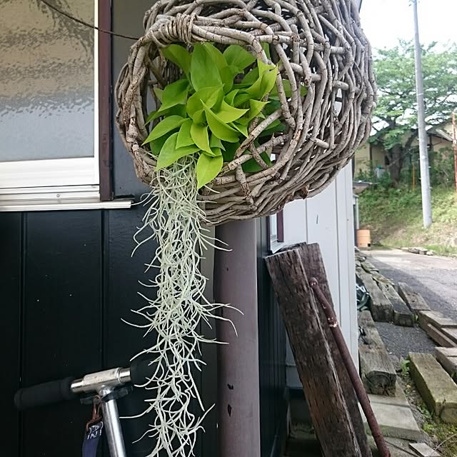 chicchiさんの実例写真