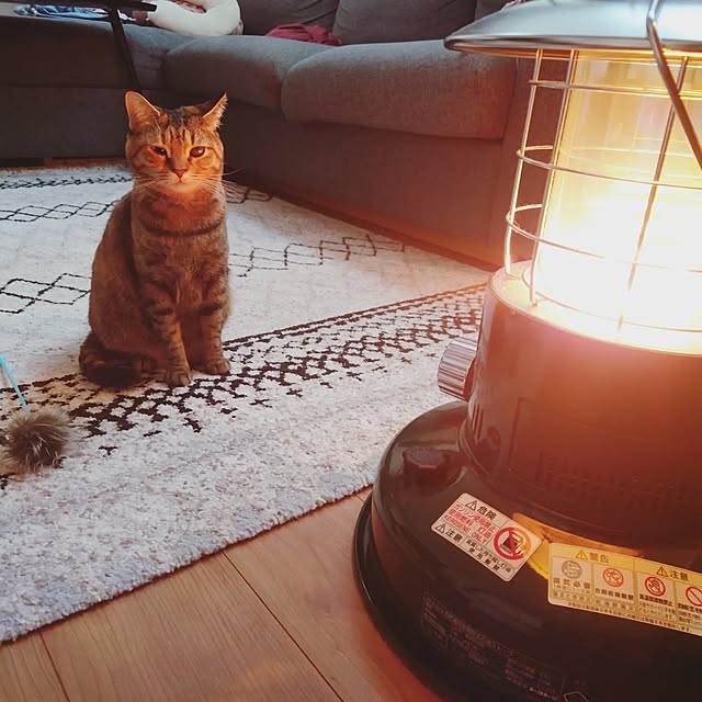 mochicoさんの実例写真