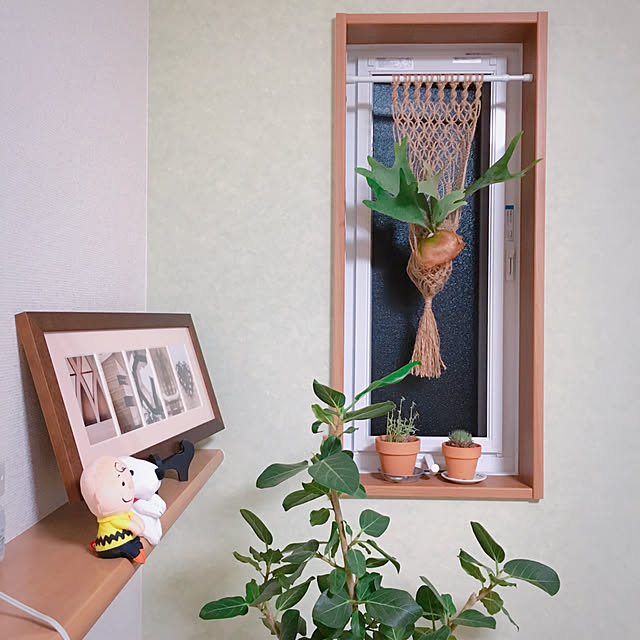 meguchosu52さんの実例写真