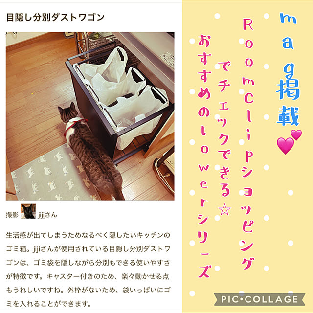 jijiさんの実例写真