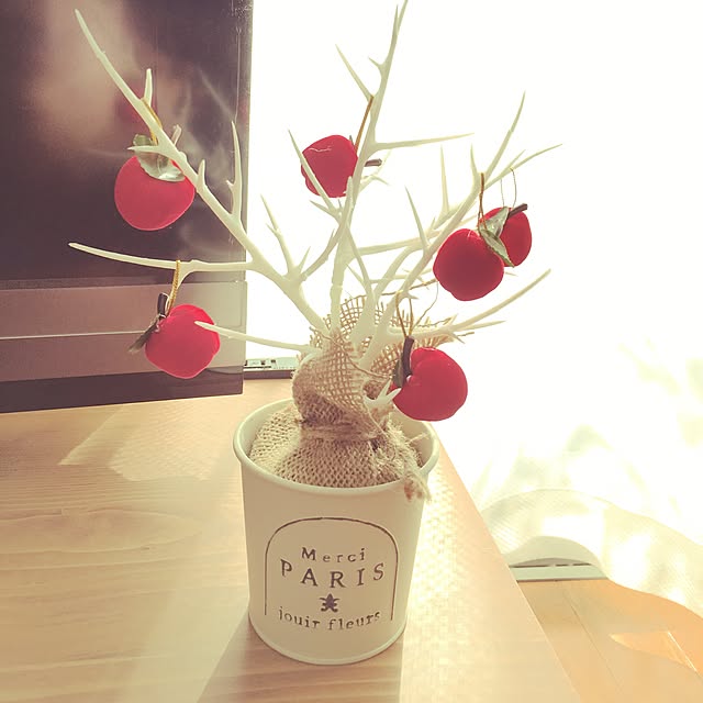 naosunnyさんの実例写真