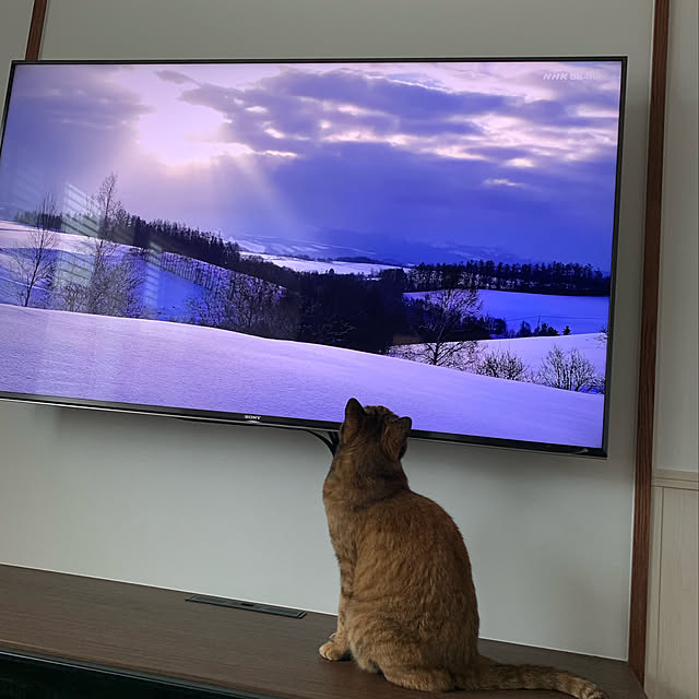 mikeume7さんの実例写真