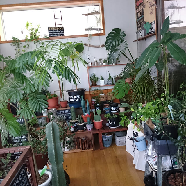 tikuwaさんの実例写真
