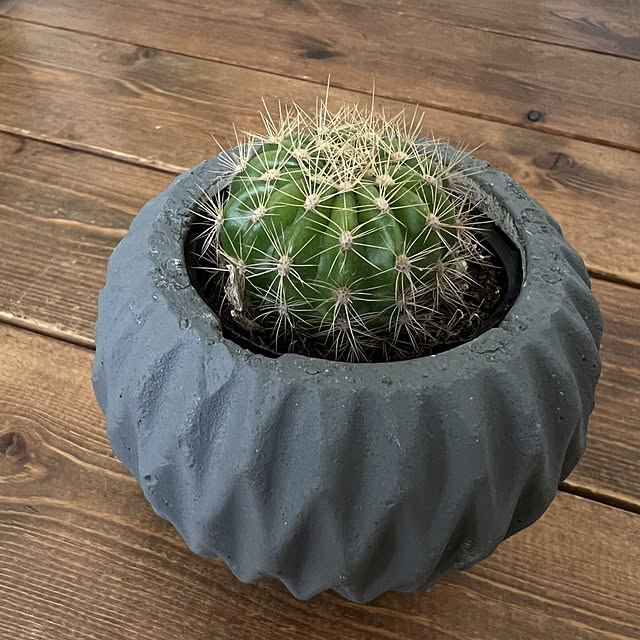 rookuさんの部屋