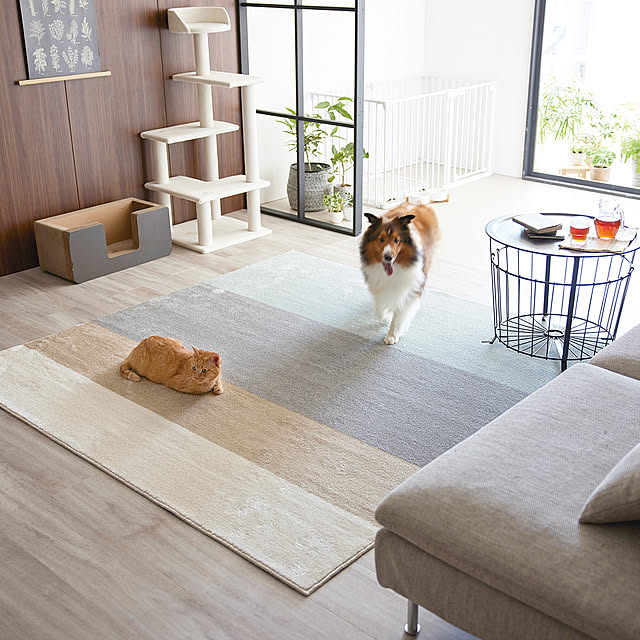 SUNROCK_in_Livingさんの実例写真