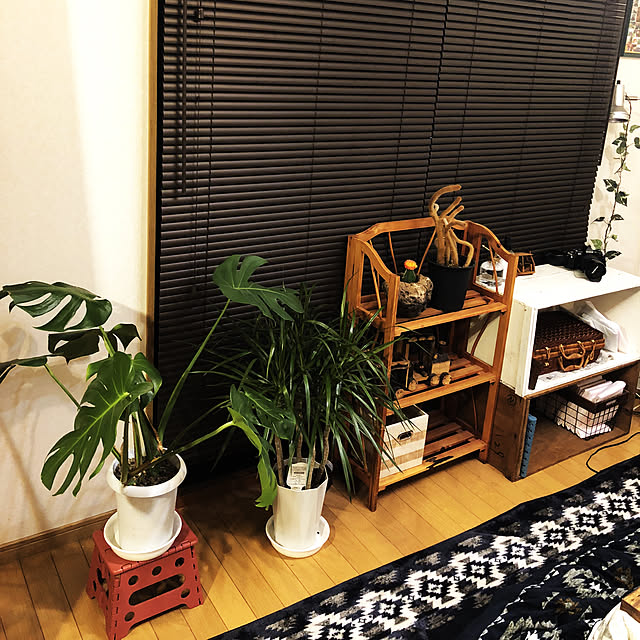 Erikaさんの実例写真