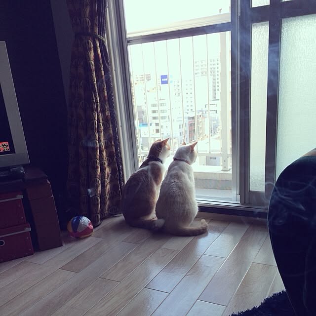 bobooooonさんの実例写真