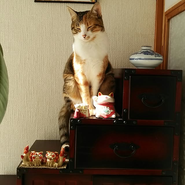 taleo07さんの実例写真