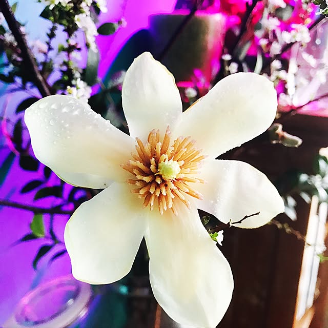 Yoshikazuさんの実例写真