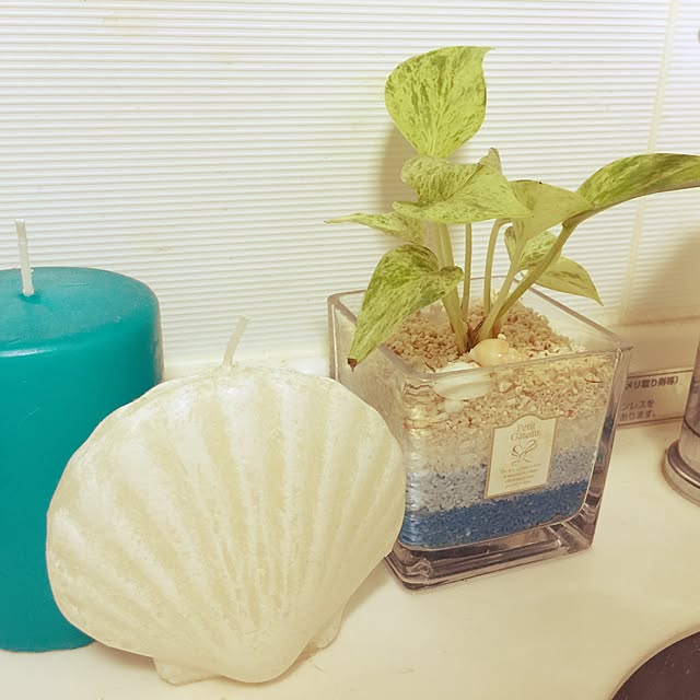 キッチン/観葉植物/雑貨/キャンドルのインテリア実例 - 2015-08-08 23:25:35