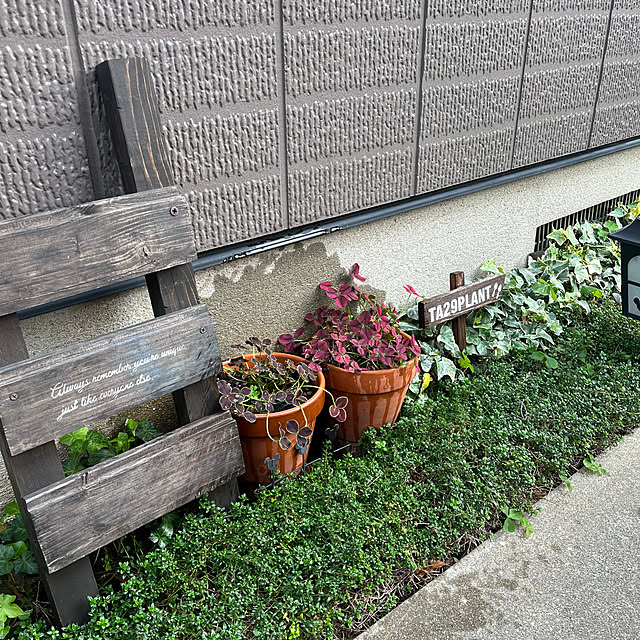 mamamichiさんの部屋